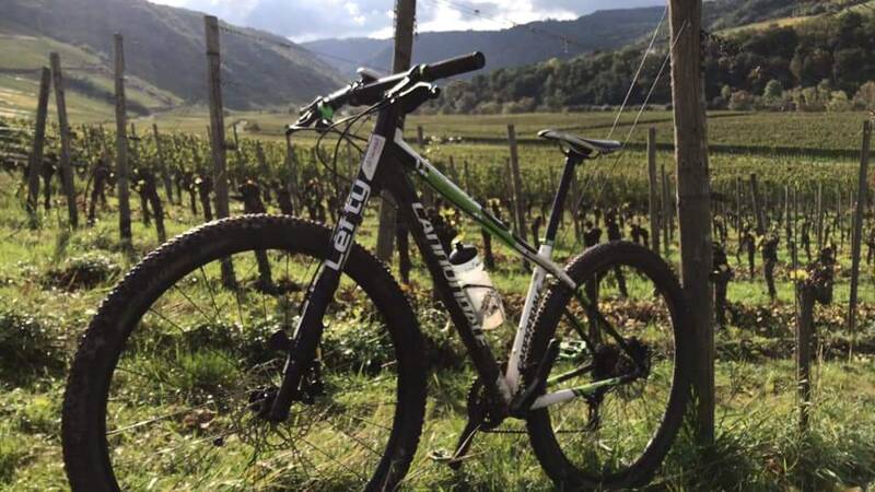 Fahrrad Mosel Alf